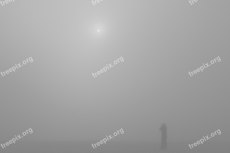 Fog Foggy Sun Photographer Disoriented