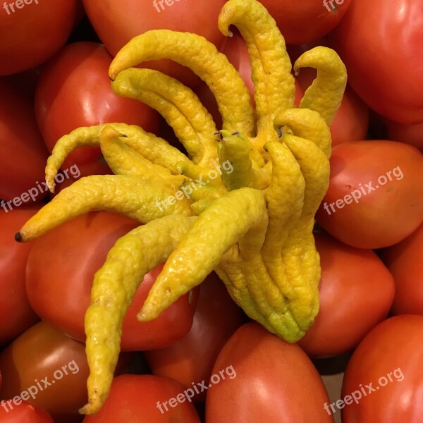 Produce Zest Buddha's Hand Free Photos