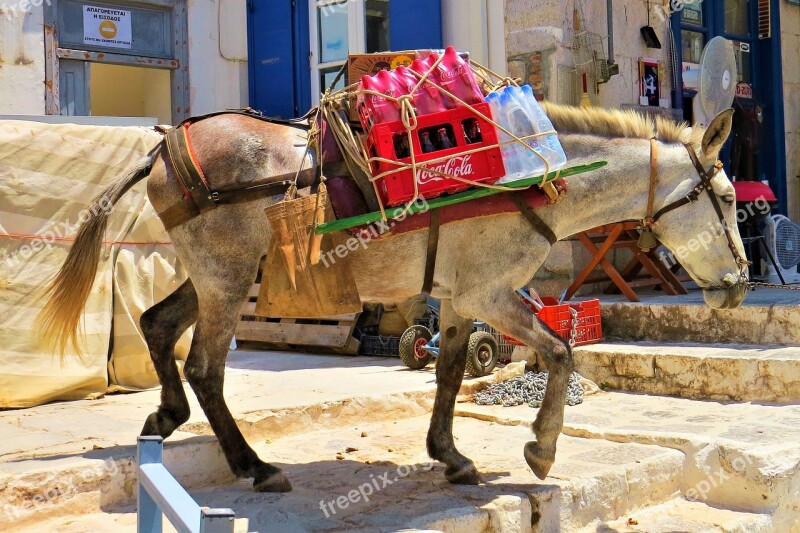 Mule Load Back In Position Hydra