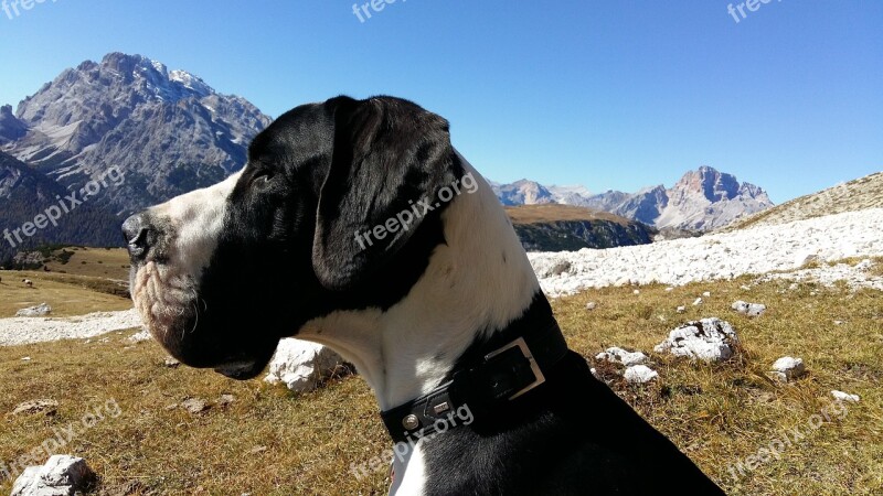 Nature Snow Mountain Dolomites The Auronzo Valley