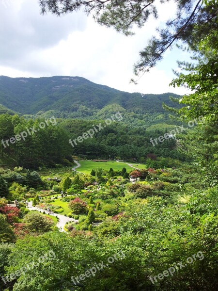 Nature Scenery Wood Mountain Travel