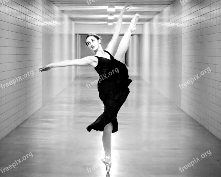 Dancer People Motion Ballet Dancer Adult