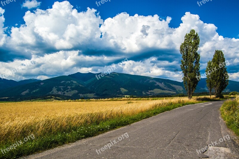 Baranes Mountains Path Trees Field