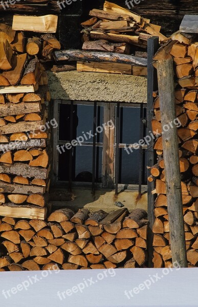 Industry Tree Log Wood Firewood Wooden