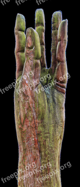 Hand Finger Wood Hand Sculpture Art