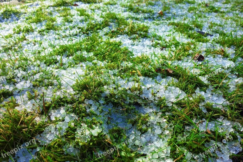 Grass Field Ice Ice Crystals Frost