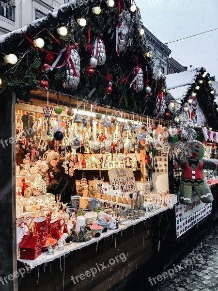 People Street City New Years Christmas Time Tourist Lviv