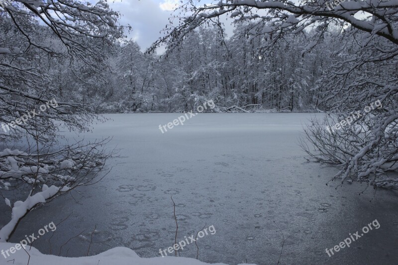 Winter Ice Pond Nature Frozen