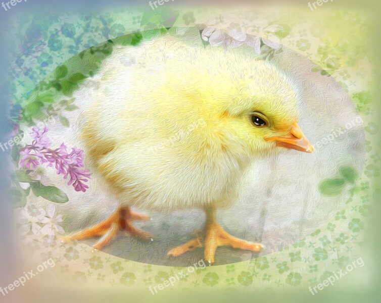 Easter Chick Cute Fluffy Spring