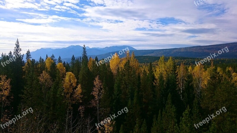 Nature Wood Tree Landscape Fall