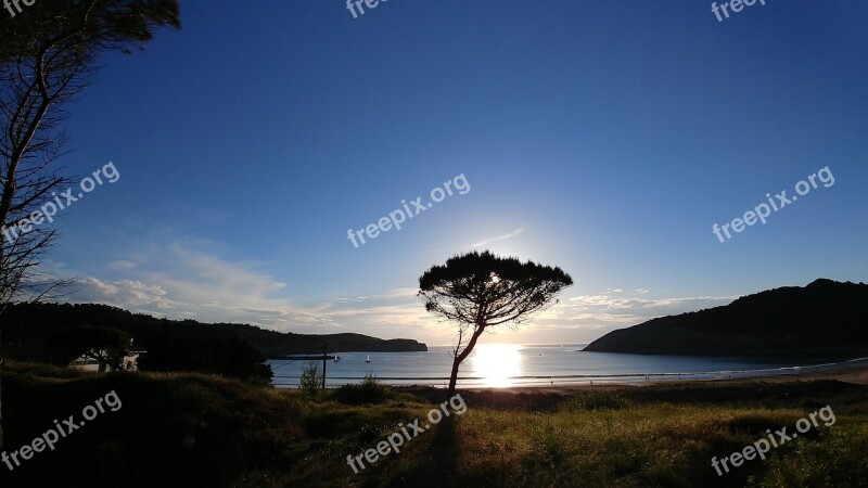 Nature Beach Sky Sunset Landscape