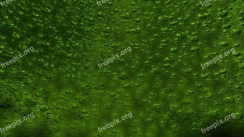 Background Glass Blow Green 3d