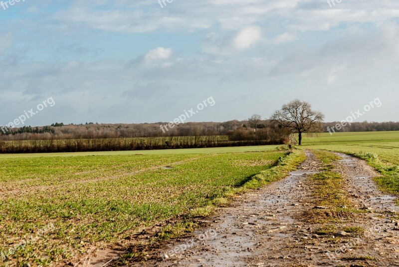 Landscape Field Nature Agro-industry Lawn