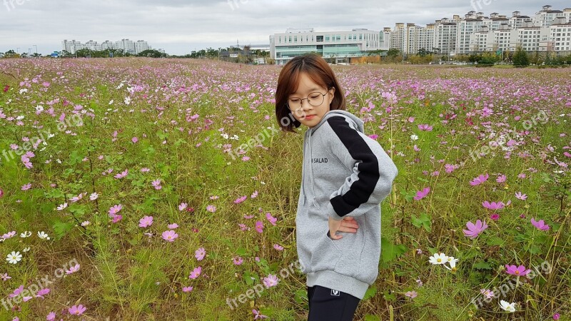 Nature Flowers Grass Outdoors Summer