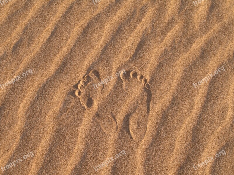 Sand Desert Sandy Beach Dune