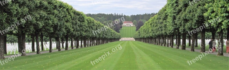 Nature Tree Military Cemetery Panorama Grass