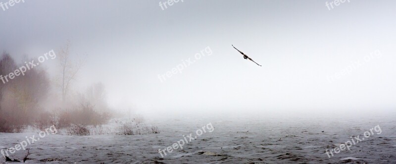 Water Sea Fog Winter Nature