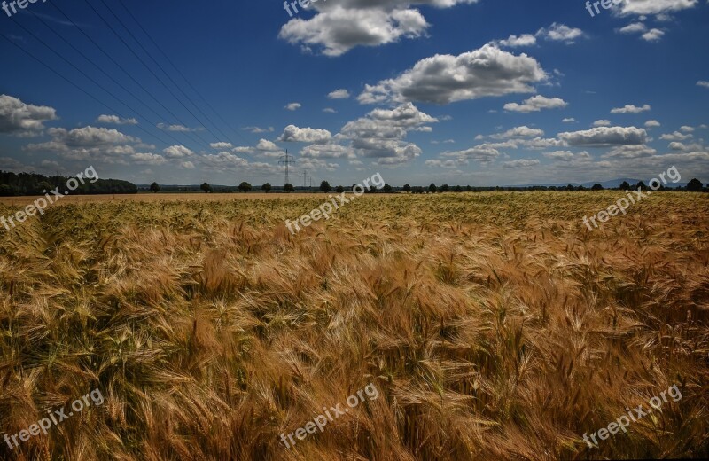 Landscape Field Agriculture Nature Farm