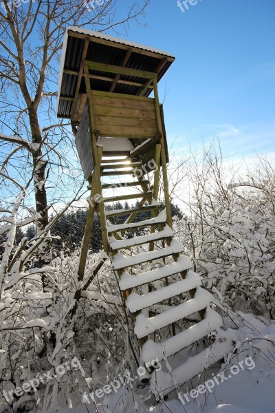 Perch Hunting Wood Head Woods