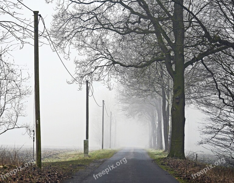 Fog Fields Dirt Track Bauerschaft Arable Rain