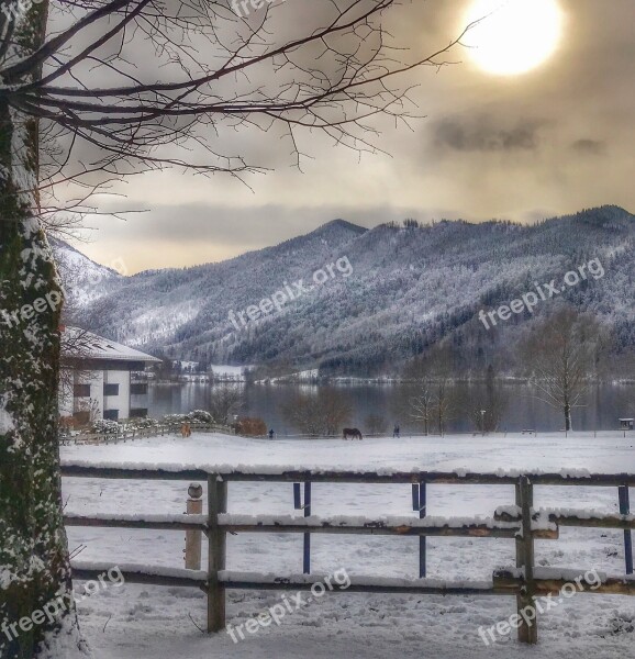 Snow Nature Winter Landscape Wood