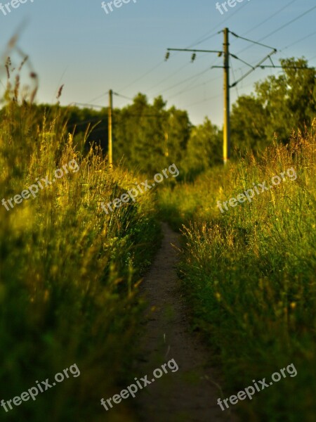 Grass Outdoors Nature No One Landscape