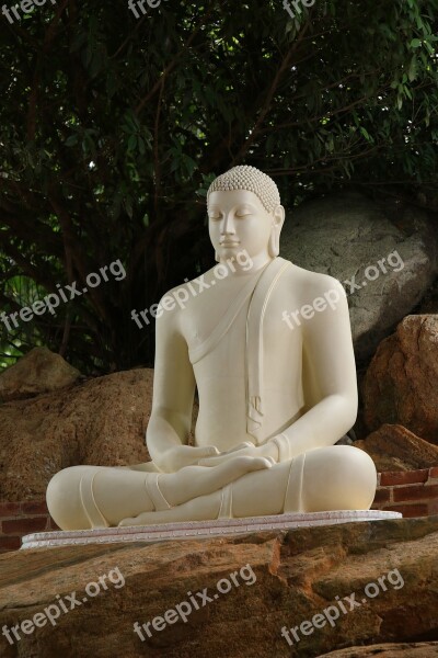 Meditation Buddha Sculpture Statue Buddhism