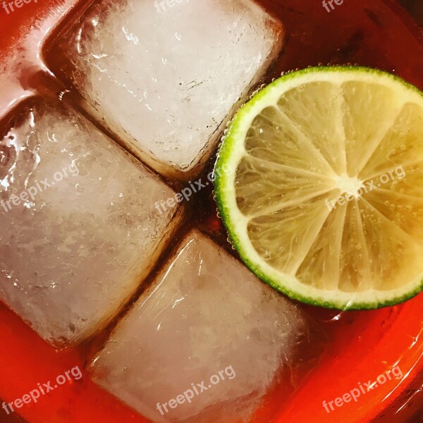 Food Fruit Lemon Disc Ice Cubes