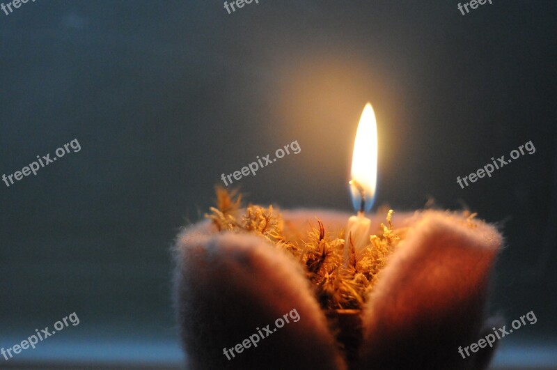 Celebration Candle Darkness Christmas Flare-up