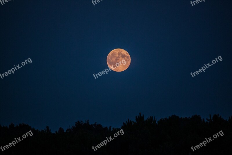 Moon Sky Astronomy Full Moon Nature