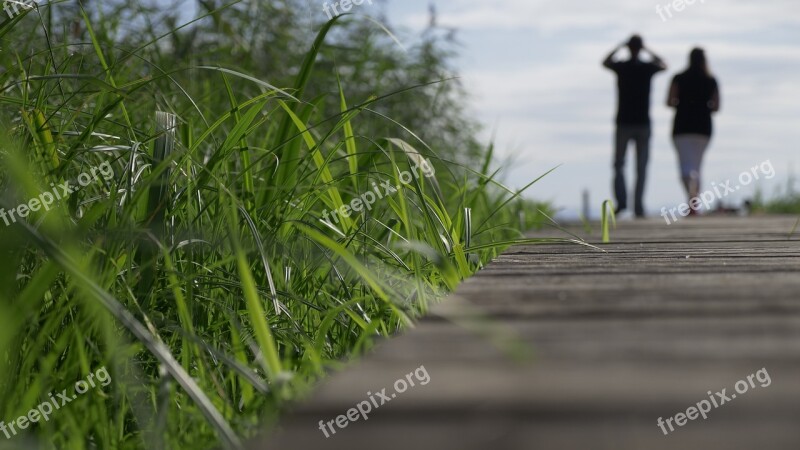 Nature Panorama Plant Grass Travel