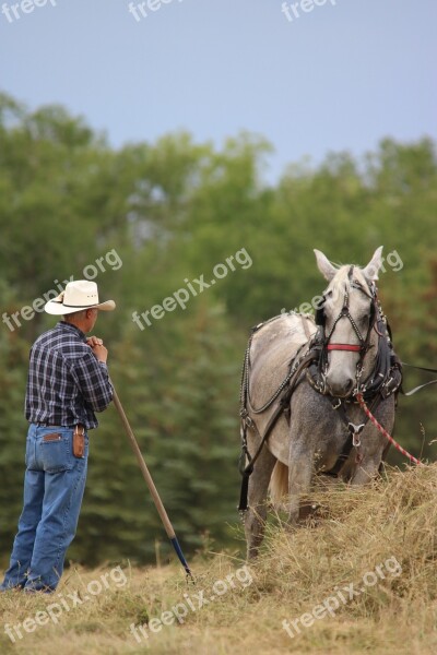 Horses Cowboy Farmer Hay Draft Team