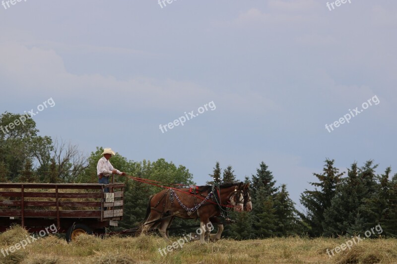 Outdoors Nature Sky Farm Agriculture