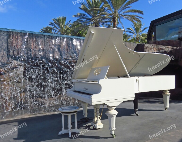 Luxury Travel Summer Palm Piano