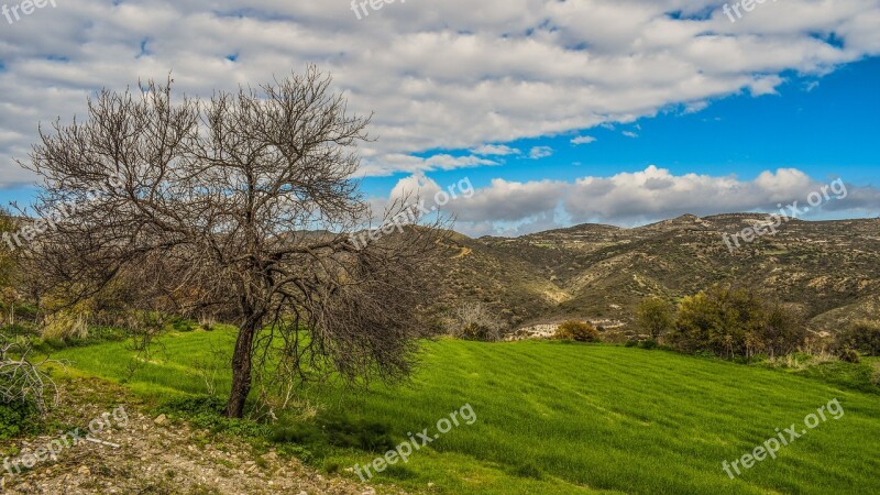 Nature Landscape Tree Panoramic Grass