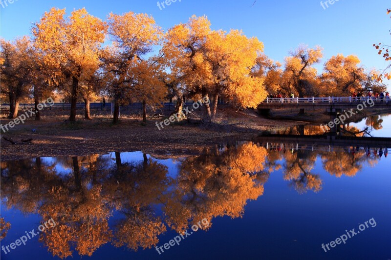 In Xinjiang Reflection Tree Nature Waters