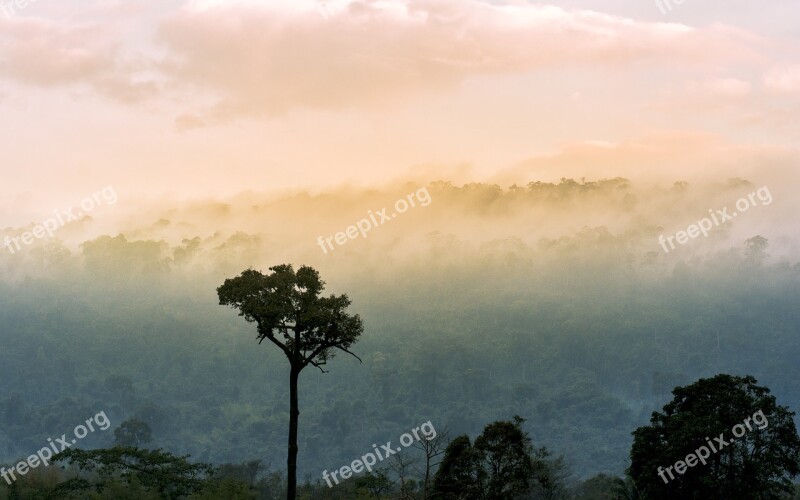 Nature Pa Thailand By Nature Green