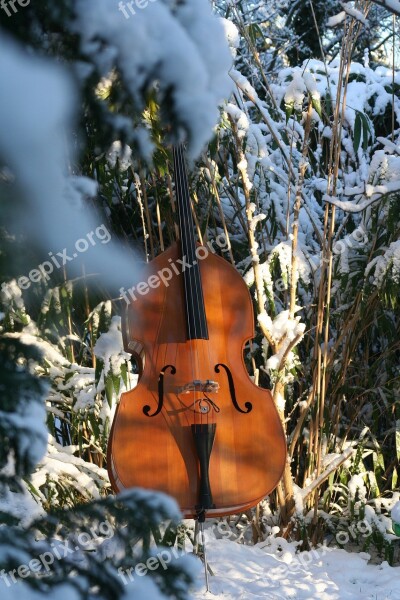 Double Bass Snow Music Instrument Wood