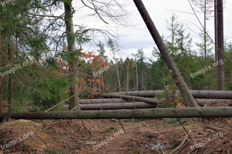 Obstacle Tree Nature Landscape Way