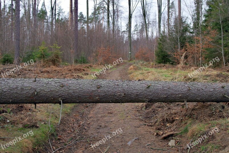 Obstacle Tree Nature Landscape Way