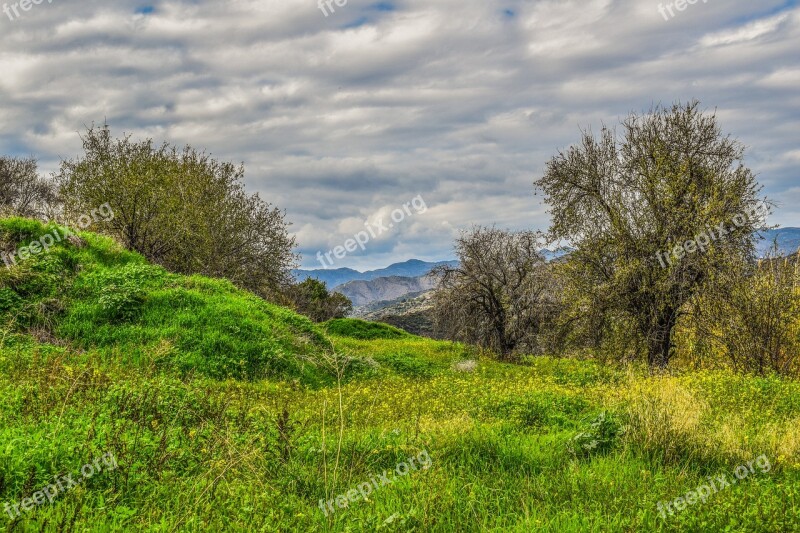 Nature Landscape Tree Panoramic Grass