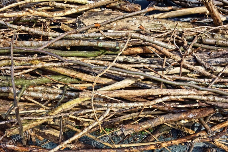 Wood Chopped Branches Firewood Sticks