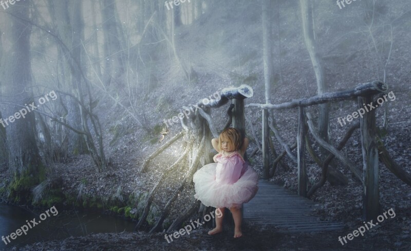 Girl Ballerina Bridge Elf Forest