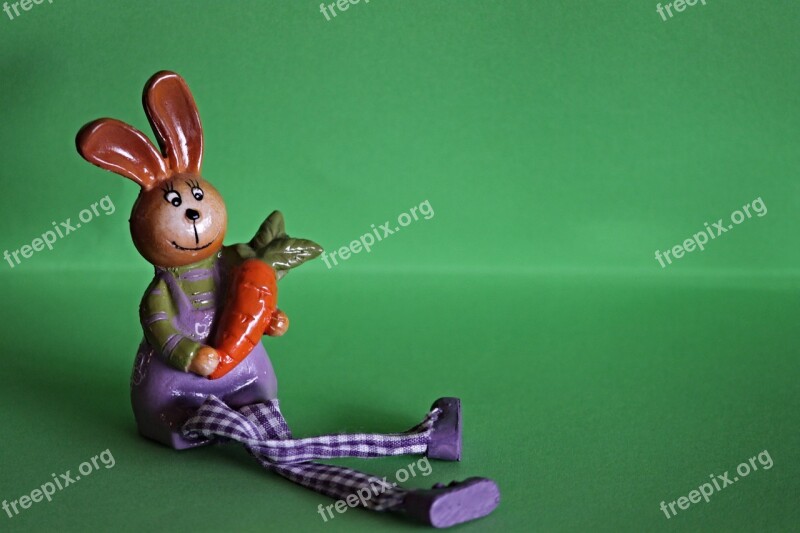 Hare Carrot Cute Animal Funny