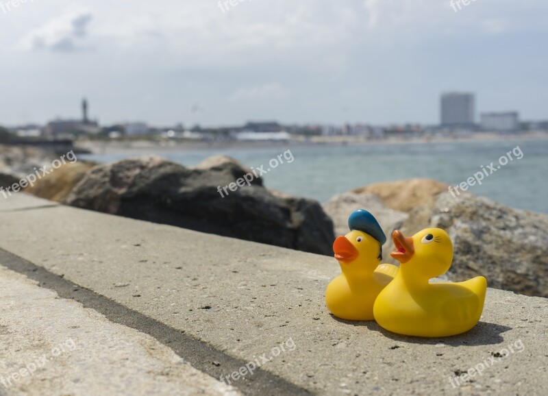 Sea Beach Waters Nature Summer