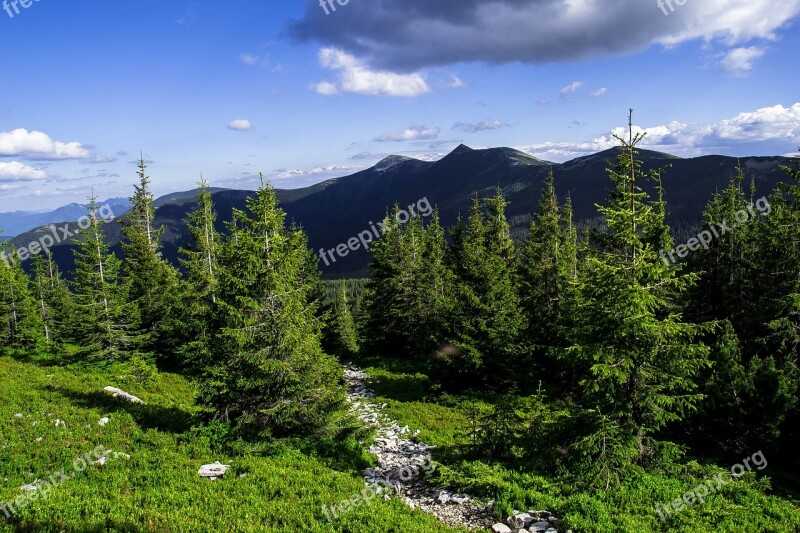 Mountain Nature Landscape Wood Panoramic