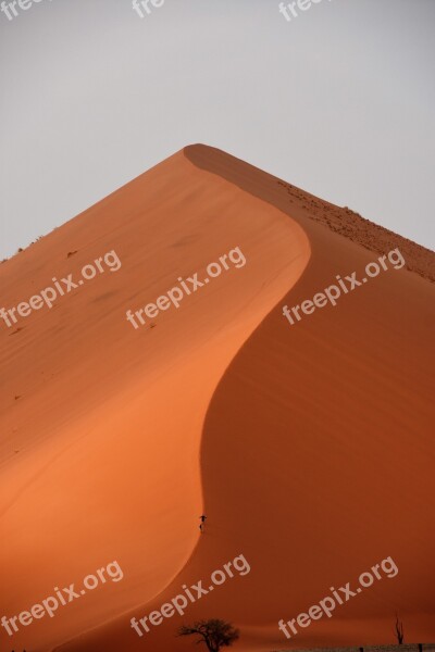 Desert Dune Sossusvlei Africa Namibia