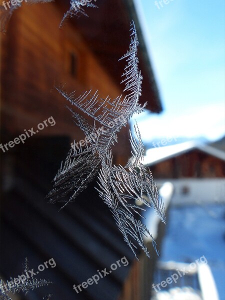 Frost Crystal Ice Glass Winter