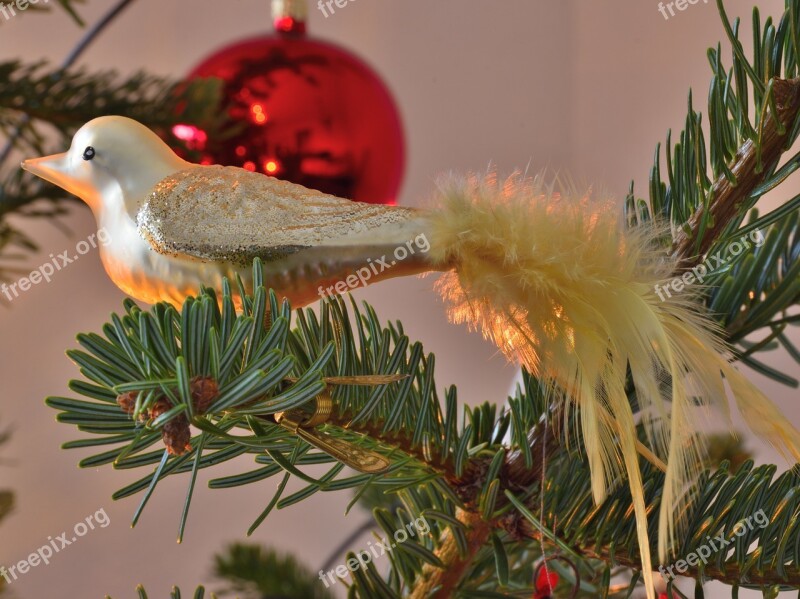 Christmas Ornaments Bird Fir Tree Christmas Winter