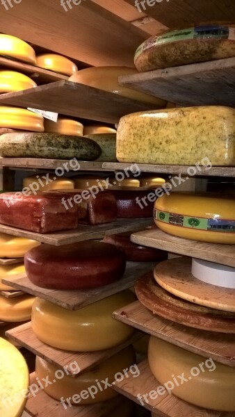 Cheese Dairy Warehouse Shelf Agriculture Cheese Making Netherlands